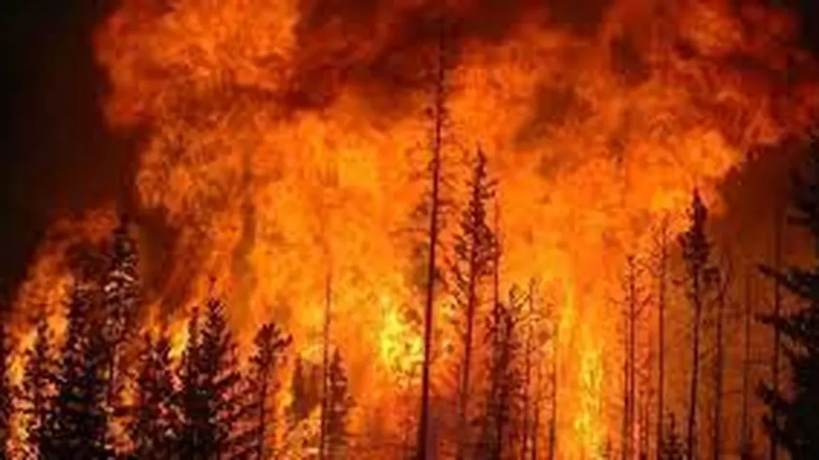 Chile declara estado de excepción por incendios forestales